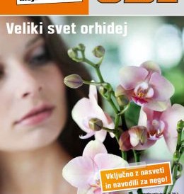 062012obi-katalog02