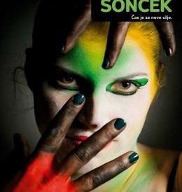 47katalog_181_062012soncek-katalog03