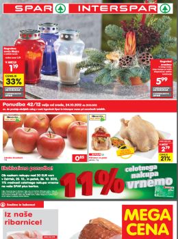 katalog_689_102012spar-katalog05