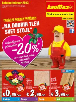 katalog_1072_022013baumax-katalog01