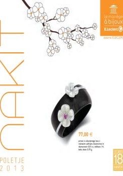 katalog_slo-1366_042013eleclerc-katalog04