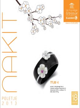 katalog_slo-1366_042013eleclerc-katalog04