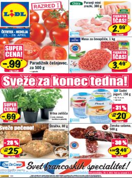 katalog_slo-1446_042013lidl-katalog05