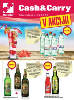 katalog_slo-1744_072013mercator-katalog04