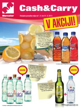 082013mercator-katalog03