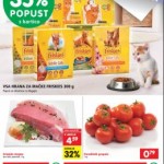 Spar katalog