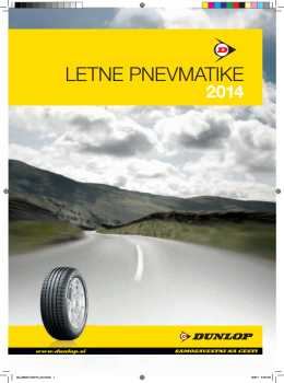 042014dunlop-katalog01