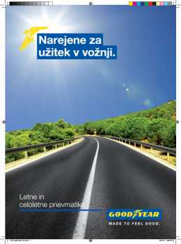 042014goodyear-katalog01