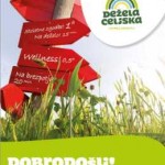 Dežela celjska katalog