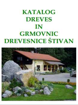 katalog-drevesnicastivan