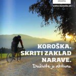 Koroška katalog