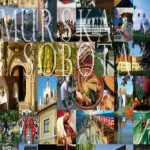 Murska Sobota katalog