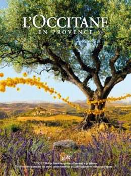 loccitane-katalog