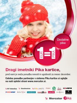mercator-katalog-piin