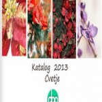 Dar katalog