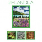 Avstral-Azija katalog