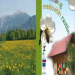 Osnovna šola Lesce