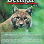 Baluga katalog
