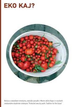 katalog-pina