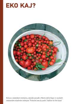 katalog-pina
