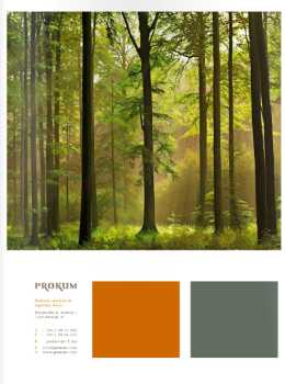 katalog-prokum