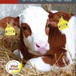 Raiffeisen katalog
