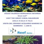 Reef Gorica katalog