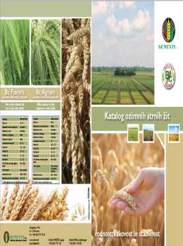 katalog-semevit