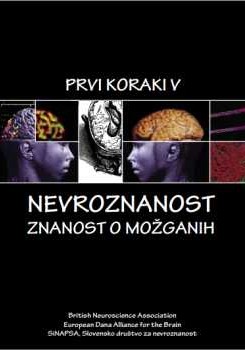 katalog-sinapsa