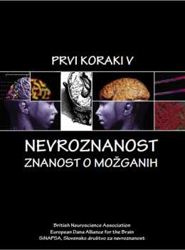 katalog-sinapsa