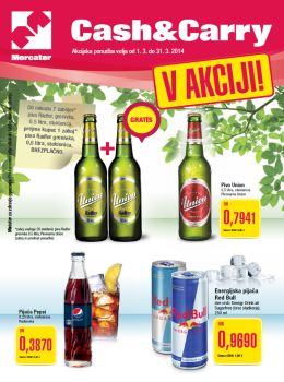 Mercator-katalog-Cash-Carry-ponudba