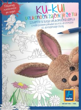 Hofer katalog
