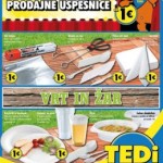 Tedi katalog