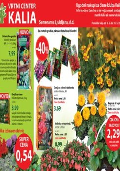 Kalia katalog