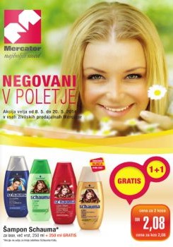 Mercator katalog2