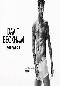 hm-david