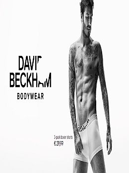 hm-david
