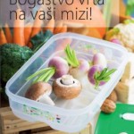 Tupperware katalog