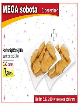 122014PP04-slika