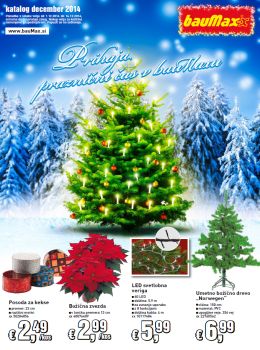 122014baumaxslika