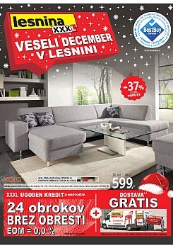 122014lesnina01
