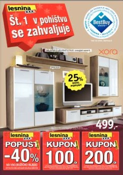 122014lesnina03
