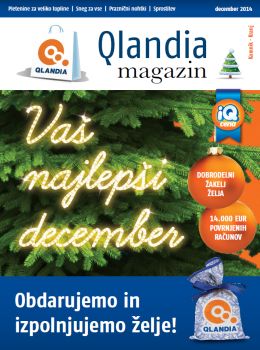 122014qlandiaslika