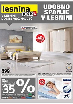 032015lesnina02