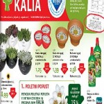 Kalia katalog