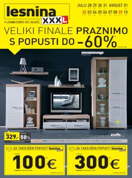 072015lesnina01