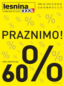 072015lesnina04