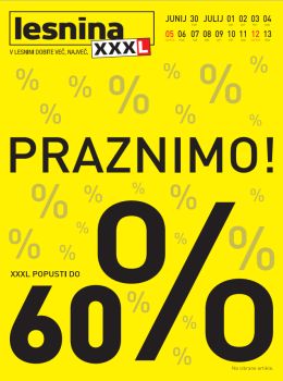 072015lesnina05