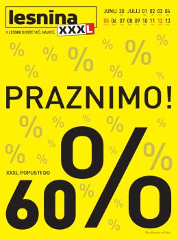 072015lesnina06