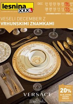 122015lesnina03